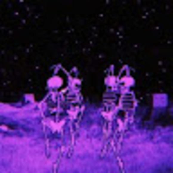 Meet your Posher, Isabella - Picture 1 of 1